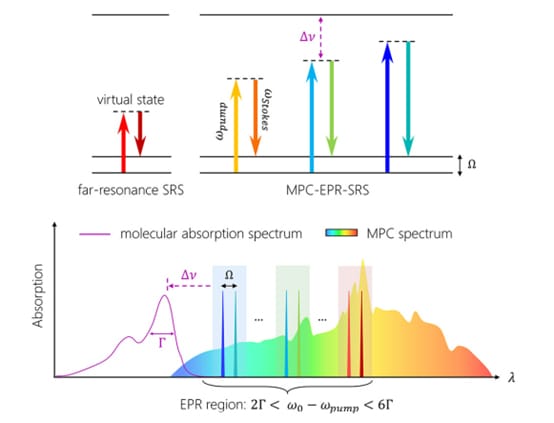 Multiple Raman Scattering Electronic Preresonance Stimulated Raman Scattering Spectromicroscopy ...